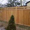54 Speciality fence